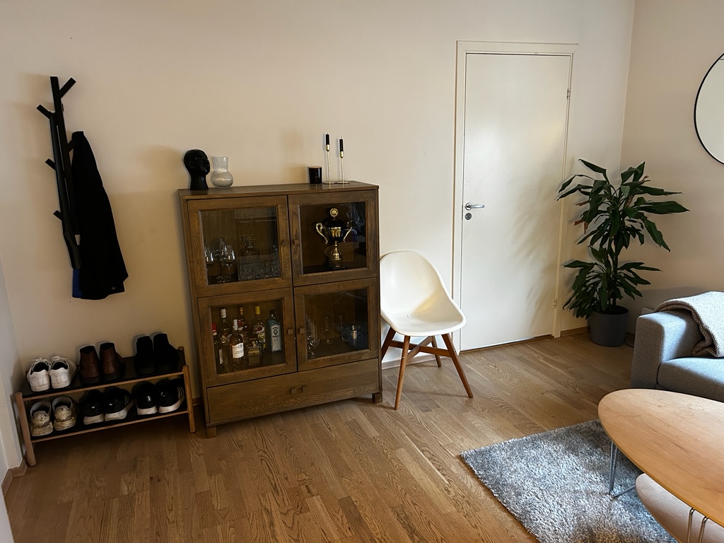 Stue og inngang med dør til soverommet